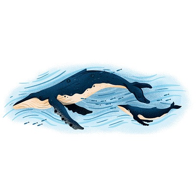 Economical Migration adobe blue brush busniess digitalillustration economy illustration illustrator muti nature photoshop texture texture brush wacom art whale