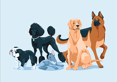 Dogs animal bulldog character different dog domestic flat french bulldog german shepperd group illustration labrador poodle set vector